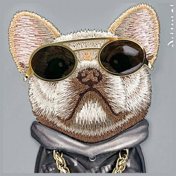 ETUI DO IPHONE 15 6.1" NIMMY GLASSES COOL DOG SZARE