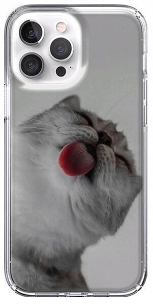 Etui LEO koty różne wzory do iPhone 13 Pro Max