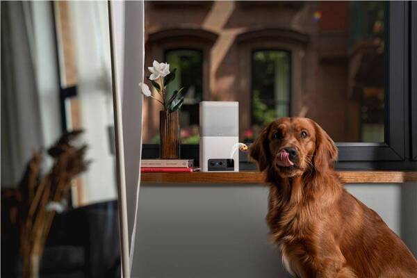 KAMERA MONITORUJĄCA ZWIERZĘTA DOMOWE PETCUBE BITES 2 LITE WI-FI 1080P